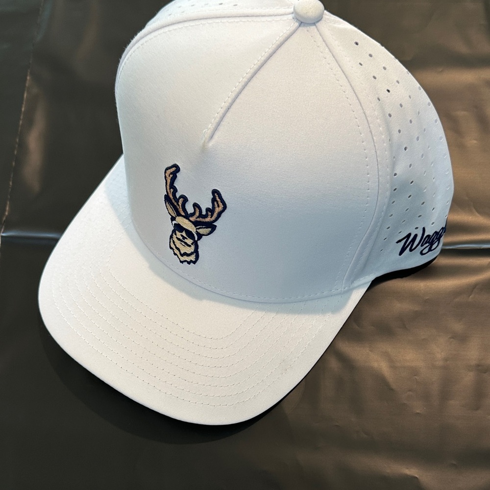 WAGGLE “Kentucky Buck”